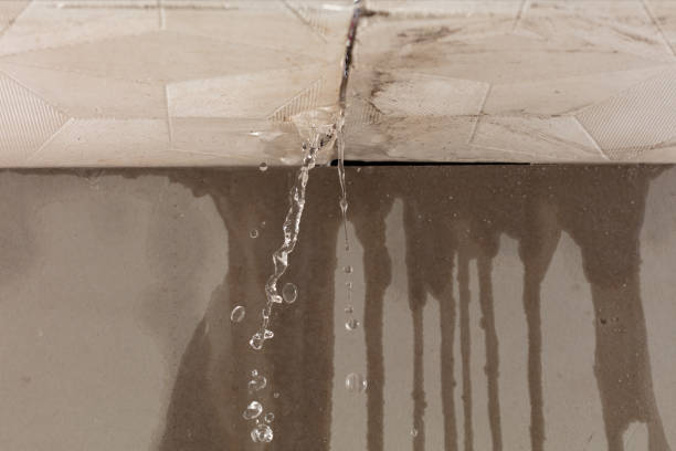 Professional Water Extraction technician working in Harwood, TX